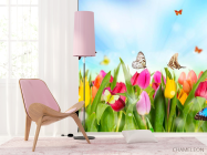 Фотошпалери Тюльпани, поле, метелики - 4