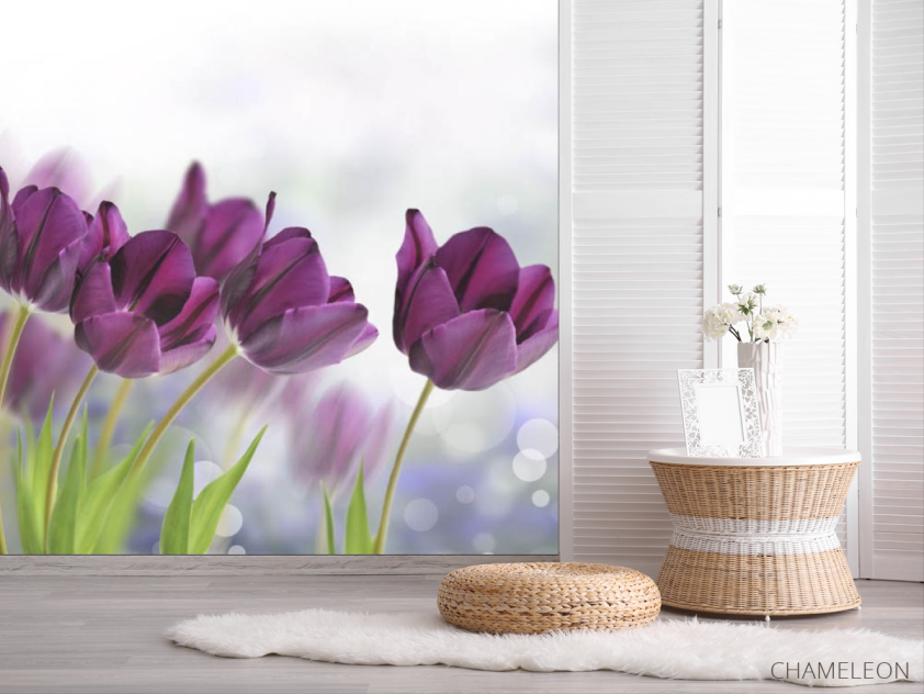 Фотошпалери тюльпани - 2
