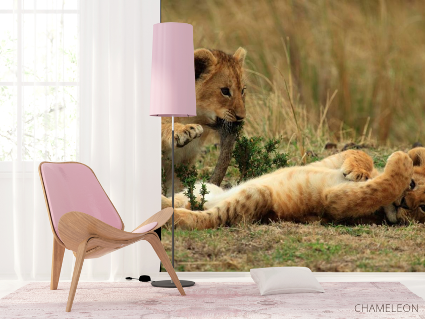 Фотошпалери Ігри левенят - 4