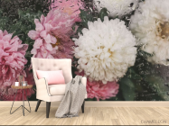 Фотообои Хризантемы с каплями дождя - 4