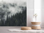 Фотошпалери Туманний ліс - 2