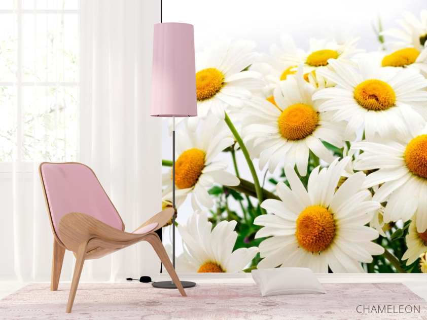 Фотошпалери Букет польових ромашок - 4