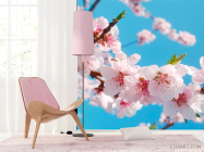 Фотошпалери Квіти персика - 4