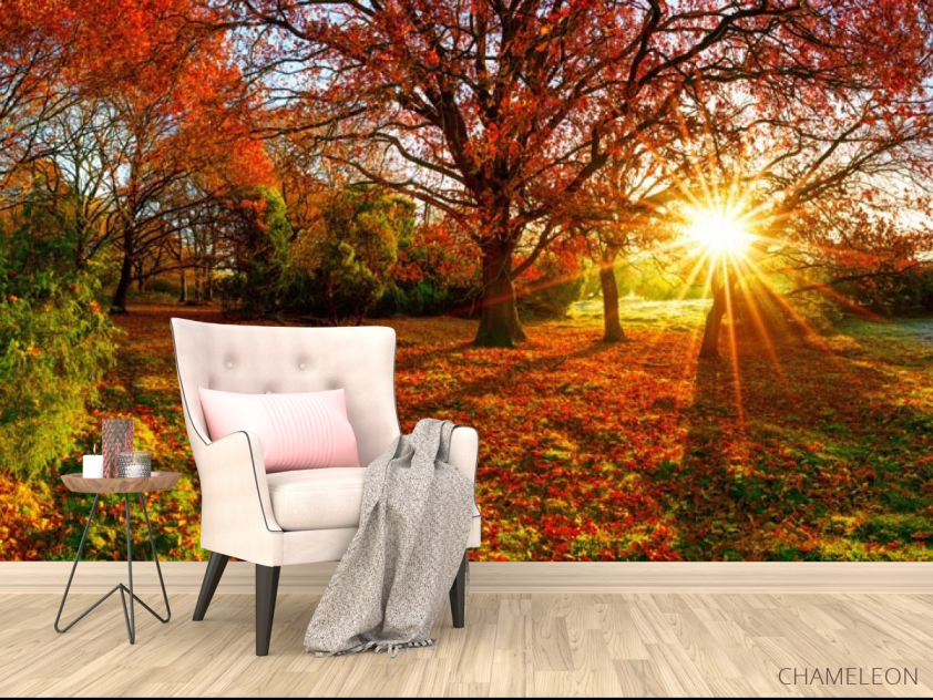 Фотообои красные опавшие листья - 4