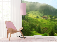 Фотошпалери особняк в лісі - 4