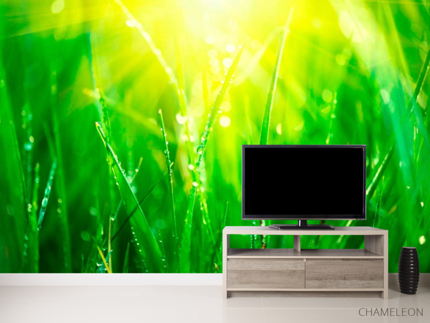 Фотообои На траве роса - 2