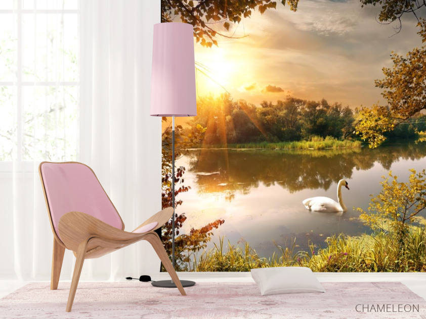 Фотошпалери лебідь на озері - 4