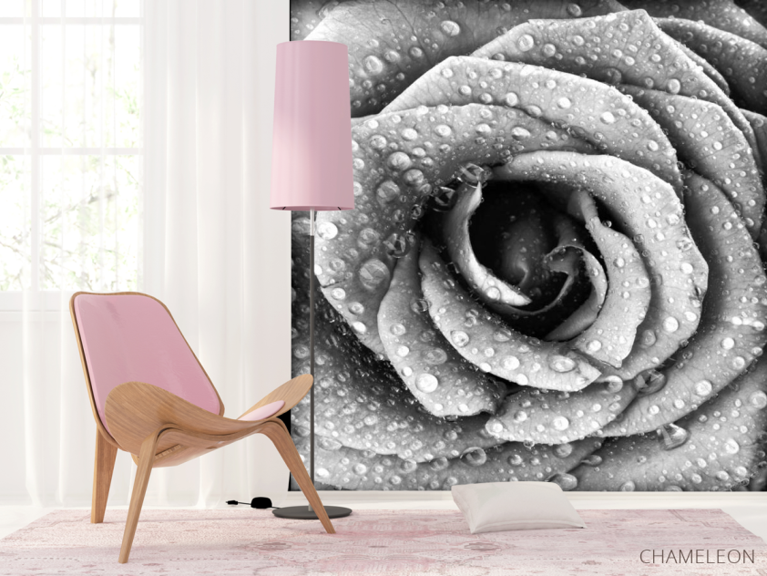 Фотообои Че6рно-белая роза - 4