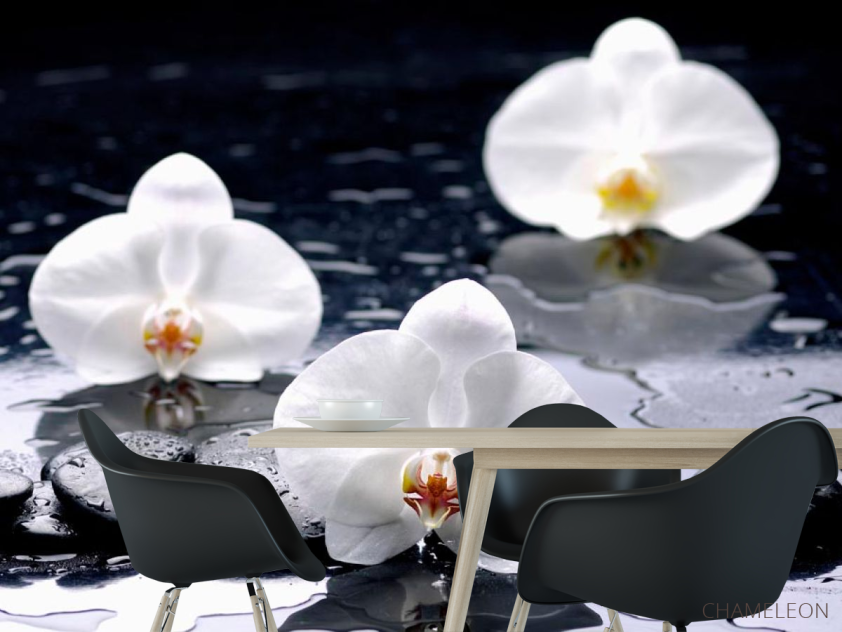 Фотошпалери Орхідеї на чорних каменях - 1