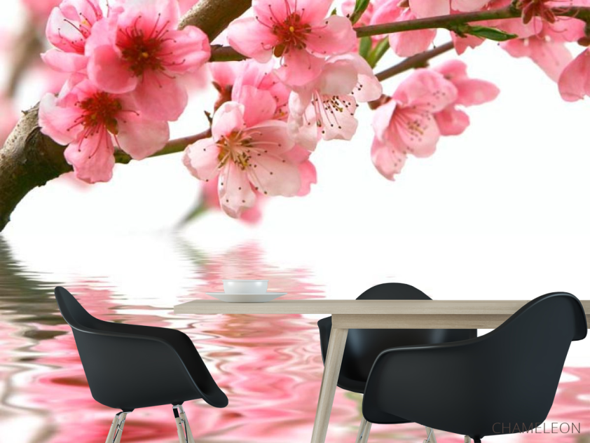 Фотошпалери Рожеві квітки і вода - 1