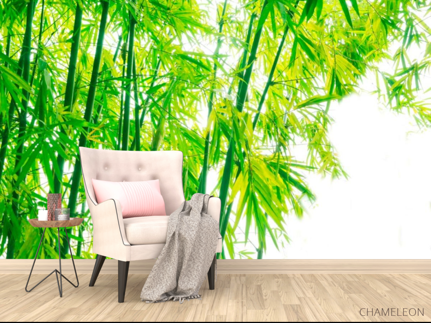 Фотообои Детки, бамбук - 4