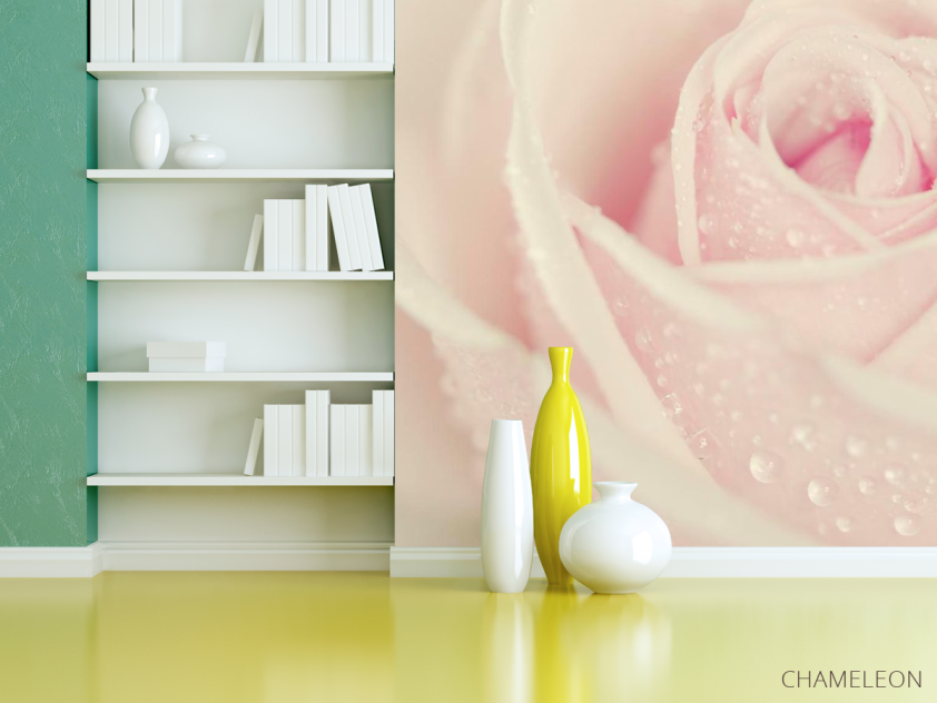 Фотошпалери Краплі роси на троянді - 3