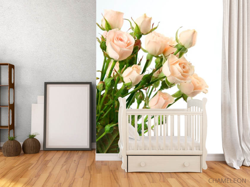 Фотообои Бежево-белые розы - 2
