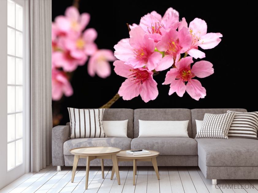 Фотообои Розовые персиковые цветы - 3