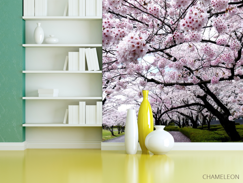 Фотошпалери дерева з білими квіточками - 3