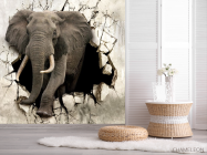 Фотошпалери Слон - 2