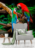 Фотообои Попугаи - 3