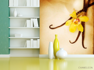 Фотошпалери Ваніль - 3