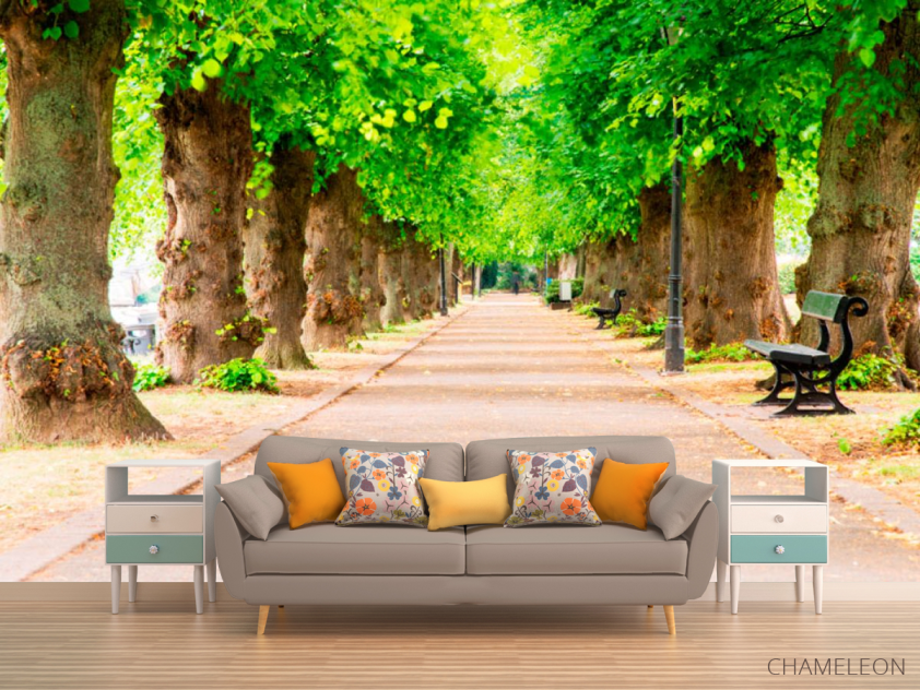 Фотообои Тоннель из деревьев - 1