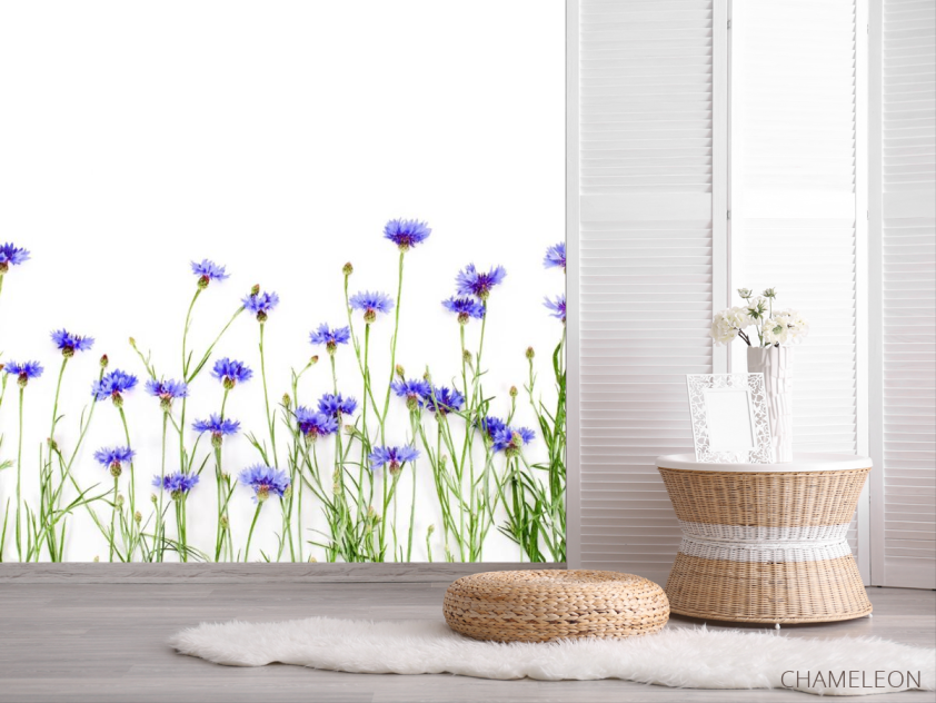 Фотошпалери Волошки сині - 2