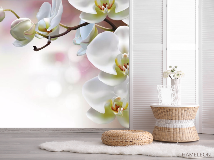 Фотошпалери Орхідеї - 2