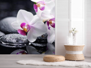 Фотошпалери Білі й чорні орхідеї - 2