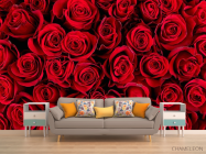 Фотообои red roses - 1