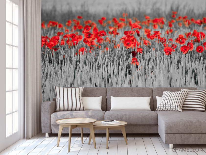 Фотообои Красные маки на чб фоне - 3