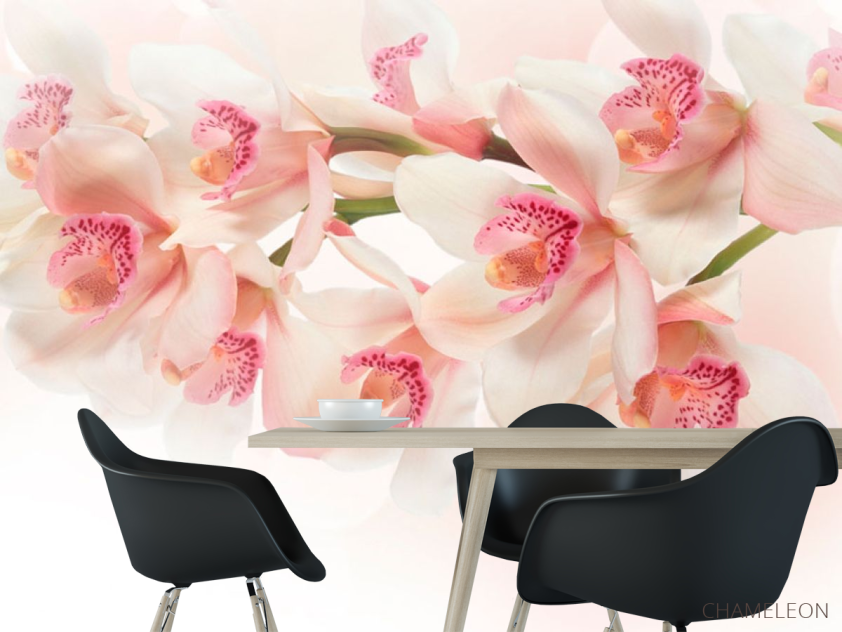 Фотошпалери Квіти - 1