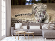 Фотообои Притаившийся тигр - 3