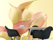 Фотошпалери Бежевий красивий квітка - 1