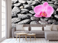 Фотообои Орхидея, роса, камни - 3