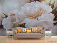 Фотообои Белая роза - 1