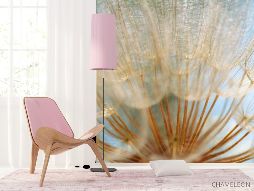 Фотошпалери Макро-зйомка кульбаба - 4