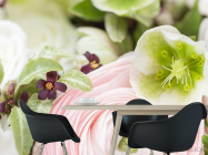 Фотошпалери лютик - 1