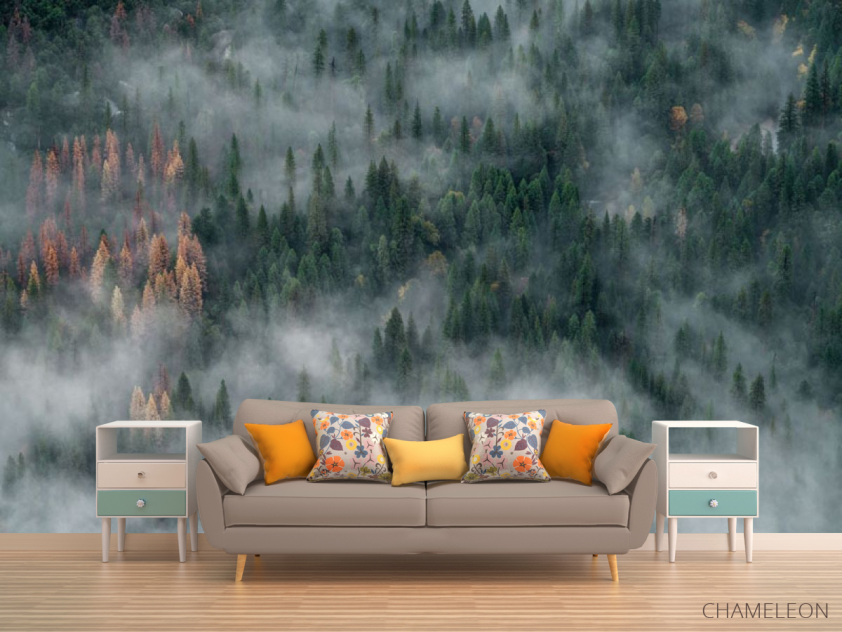 Фотообои Туманные сосны - 1