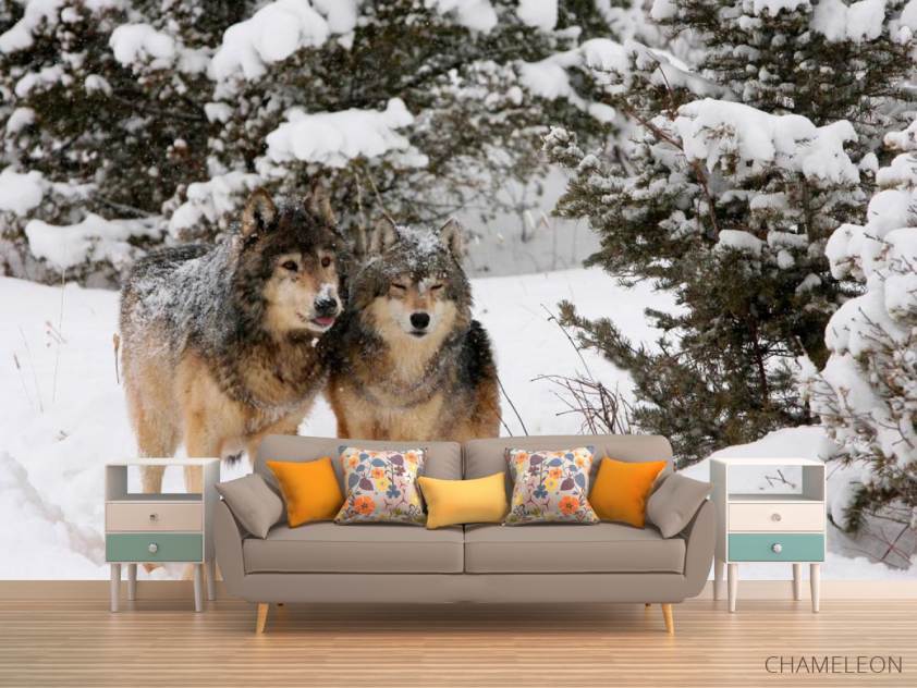 Фотообои Волки в снегу - 1