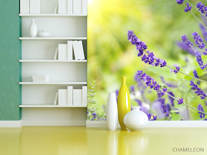 Фотошпалери сині польові квіти - 3