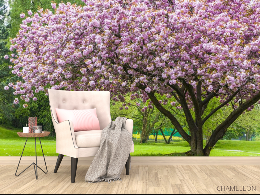 Фотообои дерево в цвете - 4