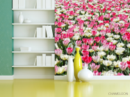 Фотошпалери Поле різнокольорових тюльпанів - 3