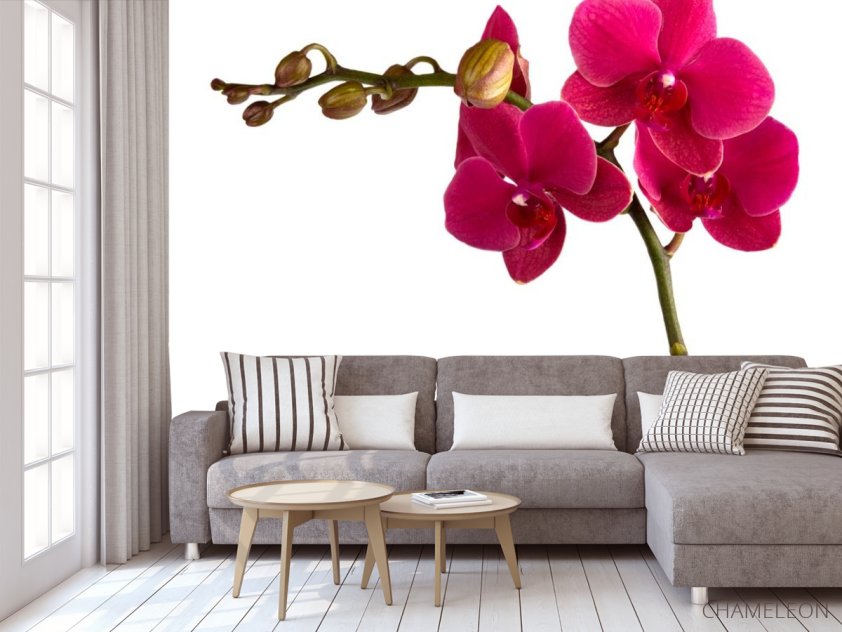 Фотообои Ветка бардовых орхидей - 3