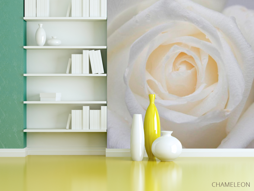 Фотообои Распустилась белая роза - 3