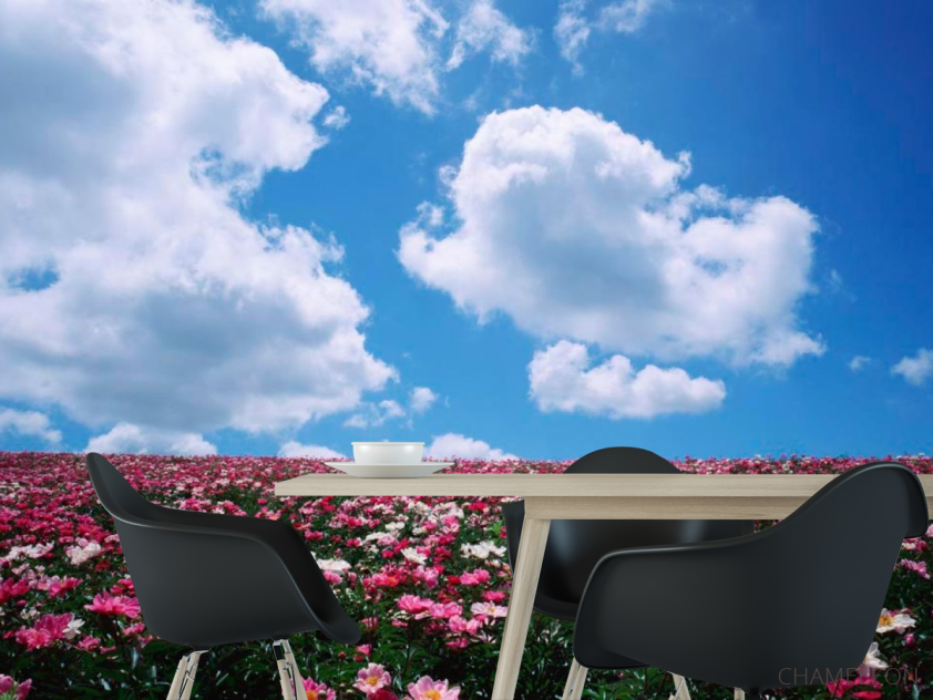 Фотошпалери Квіти, небо, хмари - 1