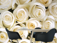 Фотообои Букет белоснежных роз - 1