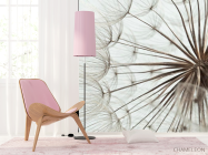 Фотошпалери Кульбаби крупний план - 4