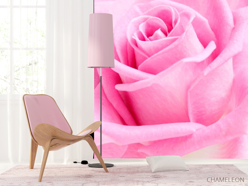 Фотошпалери Макро-зйомка троянди - 4