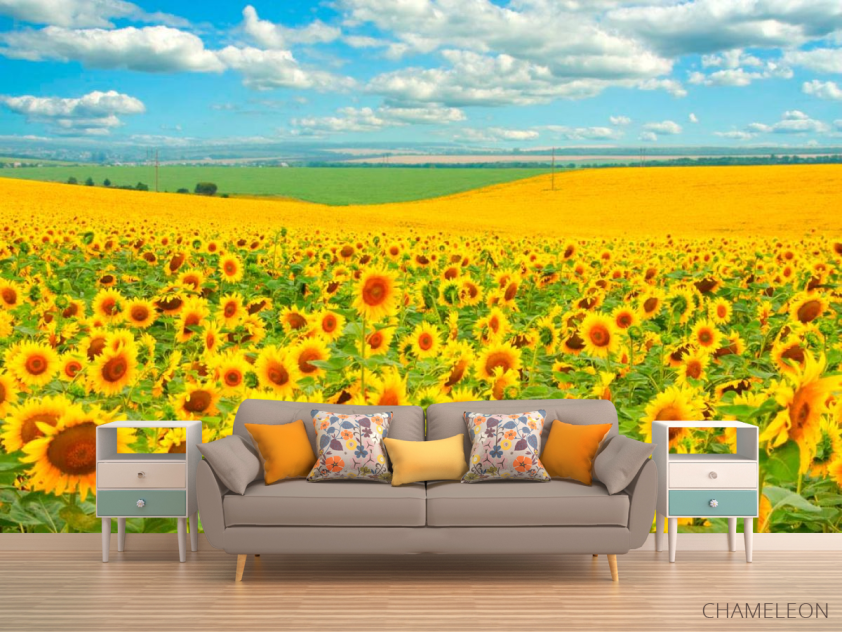 Фотообои Поле, засеянное подсолнухами - 1