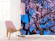 Фотошпалери Квітуча сакура - 4