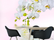 Фотообои Веточка белых цветов - 1