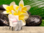 Фотообои Цветы, камни, роса - 4